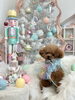 あずきくん「MerryXmas🎄」