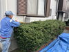 刈ってます✂️😁「ベンリー福山東🌟今日のお仕事💡草刈り、植栽の刈り込み🎵」