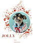 「Dog salon mofu mofu　余市町」