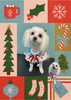 「Dog salon mofu mofu　余市町」