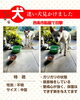 「迷い犬を餌付けしています（未保護）【西条市船屋】」