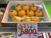 デコポン🍊「甘みが強く、酸味が控えめなデコポン🍊」