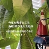 「寒さや寒暖差からのカラダの不調放っていませんか？」