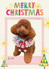 「Dog salon mofu mofu　余市町」