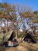 那須野が原公園オートキャンプ場「那須野が原公園 オートキャンプ場　3」