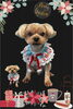 「Dog salon mofu mofu　余市町」