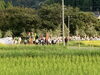 無償の愛「☆時の日和見〜毎日の時の力の使い方〜☆」