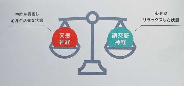 自律神経のバランス (資料 ソマニクス®️より)「『自律神経の乱れ』って ?? 【ほうれい線・たるみ・しみ・しわ】お顔のお悩み・自律神経ケアは、顔も心もカラダも笑顔になれるウェルネス・ビューティーエステサロン✧いい顔サロン✧へご相談下さ」