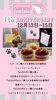 1周年記念イベント「ケーキたくさんご用意しております PATISSERIE lyulyu 江戸川区 瑞江」