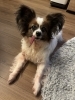 チャームポイントはべろ👅✨「ぬいぐるみ〜【子連れOK】静岡葵区のプライベートネイルサロン｜資格保有者が対応」