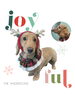 「Dog salon mofu mofu　余市町」