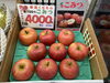 こみつ🍎「りんごの宝石　🍎こみつ🍎」