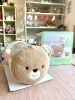 ころりんくまさん「ベビートイ✨ころりんくまさんのご紹介🧸」