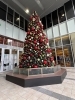 セノバのクリスマスツリー「クリスマスツリーネイル〜隠れ家ネイルサロン｜静岡葵区｜子連れOK！丁寧な施術で美爪に」