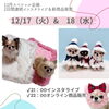 「【スペシャル企画】インスタライブ配信＆新商品発売のお知らせ🎅🎀✨」
