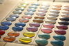Physical Support Color®「メガネを掛けるだけで体幹がアップする！フィジカルサポートカラーをご紹介します。JR青梅線羽村駅東口徒歩約3分〈ユニオンメガネ〉」