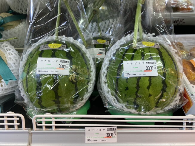 ルナピエナ🍉「冬のスイカ 🍉ルナピエナ🍉」