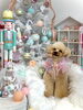 はぴちゃん「MerryXmas🎄」