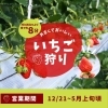 今年もいちご狩りの季節がやってきました！「冬休みのお出かけにおすすめ！！農園ガーデン空のいちご狩り🍓」