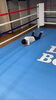 「キッズクラスからのオリジナルトレーニング🥊リベラルボックスジム！岡山市東区キックボクシングジム」