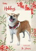 「Dog salon mofu mofu　余市町」