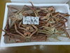 「本日鮮魚入荷致しました」