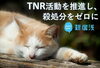 「【新居浜市役所】猫の殺処分をゼロに・クラウドファンディングの実施」