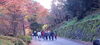 山中渓谷に行って来ました！「11月の余暇活動の様子をお伝えします(^ー^)」