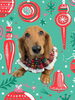 「Dog salon mofu mofu　余市町」