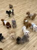 みんな🐶「ましゅまろ幼稚園🐾」