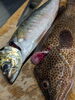 「朝は豊洲市場へ💨【魚も酒も自ら厳選する瑞江の小料理屋】」