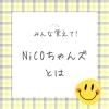 NiCOちゃんズって何〜？ | NPO法人 NiCOのニュース | まいぷれ[西条市]