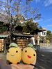 「柿本神社で七五三撮影しました♡【⠀阿那写真館 西明石駅近 神社ロケーション撮影  ]」
