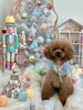 ちゃむちゃん「MerryXmas🎄」