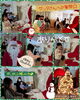 「第16回オハナクリスマス会」