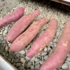 「道の駅木曽福島『石焼き芋』はじめました！」