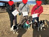 上位3頭全員生徒犬■ボーダーコリーオフ会「上位３位独占おめでとう御座います！和泉市、高石市のお客様のボーダーコリーたち」