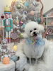 おもちくん「Merry Xmas🎄」