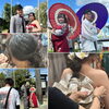 動画撮影の風景「ロケーション撮影のご予約受付中（犬山市　清華堂）」