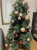 クリスマスツリー「モットーは"楽しく勉強"📝  小学生から高校生まで学秀舎で楽しく勉強しよう‼️」