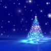 メリークリスマス！「めりめりくりっすまーっす！いかがお過ごしですか？」