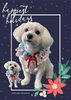「Dog salon mofu mofu　余市町」