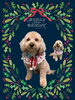 「Dog salon mofu mofu　余市町」