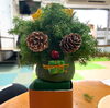 個性豊かなクリスマスツリー🎄「あかとんぼでの季節のイベント☆花育実施!本物の植物を使ってクリスマスツリー作り🎄《子どもたちのお困り事を解決!高松市の児童発達支援・放課後等デイサービス》」