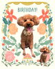 「Dog salon mofu mofu　余市町」
