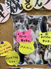 「子猫の里親さん決定について」