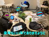 「【個別指導Growing Up＋賀来校】偶数と奇数ってどっちがいい？」