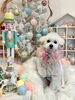 ペチくん「MerryXmas🎄」