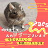 ペットのえのき（デグー）とご挨拶💕「明けましておめでとうございます❣️」