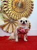 しらこちゃん「Happy New Year」